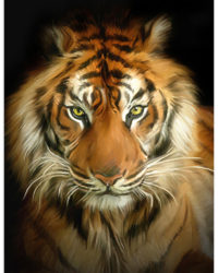 tiger malovany